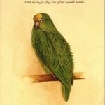  ببّغاء فلوبير