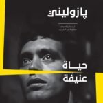 حياة عنيفة